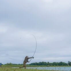 Avid Carp Amplify Caña De 12 Pies 3-5 Oz (3.5 Lb) -Salmo Ventas 02 A0460016 17 amplify rods ls 550x550 2