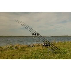 Cápsula Universal Solar P1 Euro 21 Cápsula Universal Solar P1 Euro -Salmo Ventas 6AAA BiE 550x550w