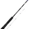 Savage Gear SGS6 Tenya Juego BC 2.51m F 25-95g