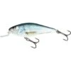 Salmo Corredor Ejecutor Poco Profundo 12cm Real Dace -Salmo Ventas Salmo Executor Shallow Runner 12cm Real Dace 550x550w