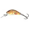 Trucha Salmo Hornet Hundimiento 2.5cm -Salmo Ventas Salmo Hornet Sinking 2 5cm Trout 550x550w