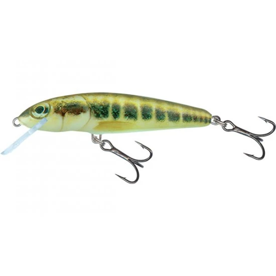 Salmo Minnow Flotante 7cm Minnow 3 Salmo Minnow Flotante 7cm Minnow