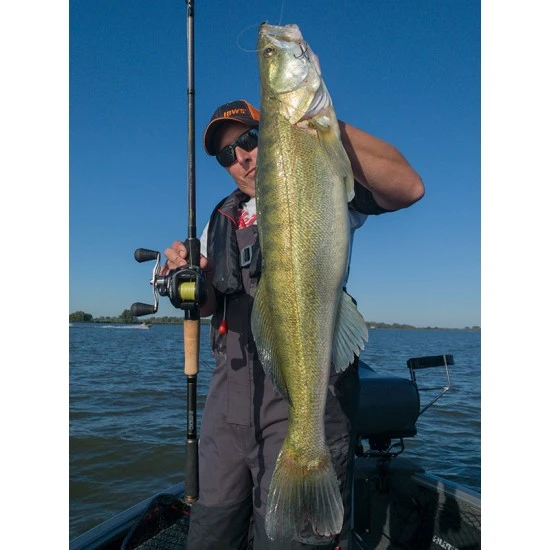 Fox Rage Terminator Casting Rod Big Bait Especial 240cm 200g 12 Fox Rage Terminator Casting Rod Big Bait Especial 240cm 200g - Imagen 10