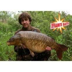DYNAMITE BAITS Engodo Dynamite Swim Stim Amino Black 900g -Salmo Ventas dynamite complex t 12mm 1kg boilies team outdoors nl a20764 550x550w 7