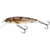 Salmo Minnow Hundimiento 7cm Wounded Dace -Salmo Ventas minnow qmw043 550x550w