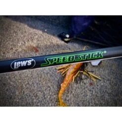 Lews Speed Stick Multiusos -Salmo Ventas p1033113 550x550w