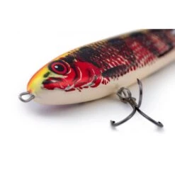 Salmo Sweeper Sinking 17cm Holo Red Perch Edición Limitada